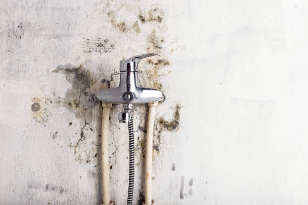 Best Kitchen Mold Remediation in Oceanport, NJ