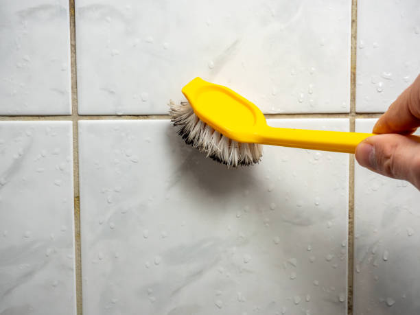 Best Mold Testing and Inspection Services in Oceanport, NJ