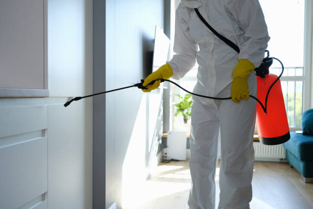 Best Insurance-Related Mold Remediation in Oceanport, NJ