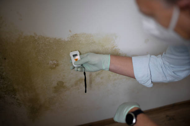 Oceanport, NJ Mold Remediation Company