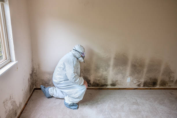 Best Industrial Mold Remediation in Oceanport, NJ